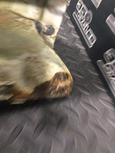 Load image into Gallery viewer, 1991 suzuki 90-96 dr350 OEM GAS FUEL TANK CELL PETROL RESERVOIR METAL ROUGH