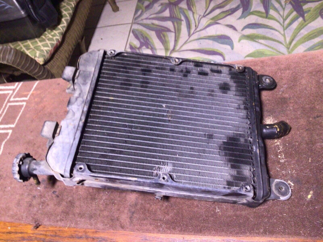 1985 Honda Goldwing 1200 OEM Radiator Rad