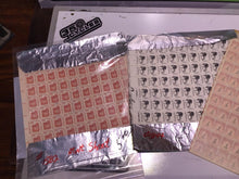 Load image into Gallery viewer, Scott 1844 - 1983 Dorothea Dix Full Sheet of 100 US 1¢ Stamps MHN
