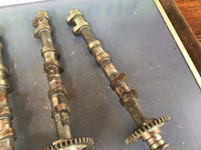 Load image into Gallery viewer, 1999 Triumph 955i Daytona Exhaust intake Camshaft Camshaft Oem needs cleaned up
